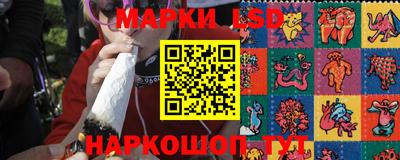 гашик Будённовск