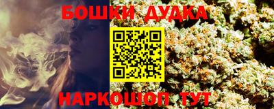 гашик Будённовск