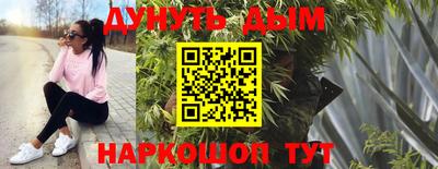 гашик Будённовск