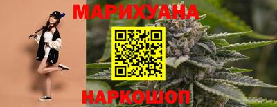 гашик Будённовск
