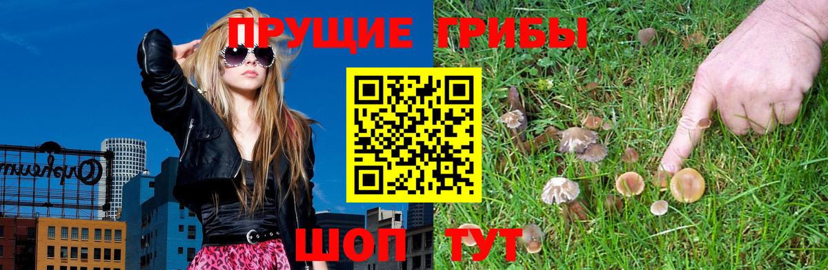 Таганрог  Галлюциногенные грибы Psilocybine cubensis  Вход с VPN  Галлюциногенные грибы прущие грибы 